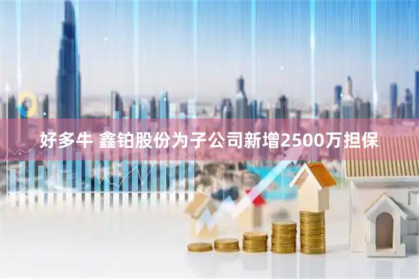 好多牛 鑫铂股份为子公司新增2500万担保