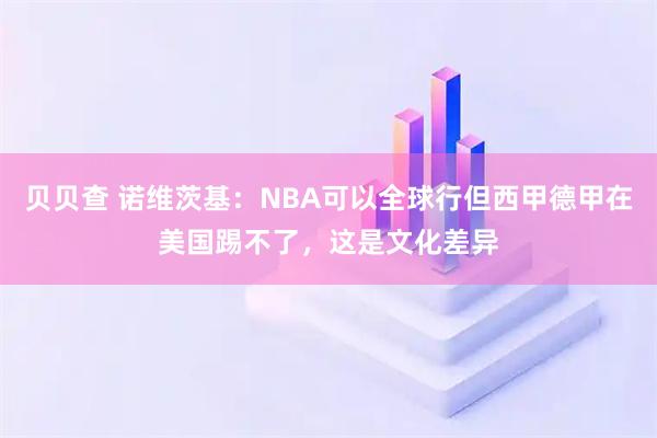 贝贝查 诺维茨基：NBA可以全球行但西甲德甲在美国踢不了，这是文化差异