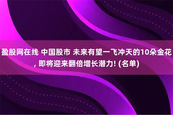 盈股网在线 中国股市 未来有望一飞冲天的10朵金花, 即将迎来翻倍增长潜力! (名单)
