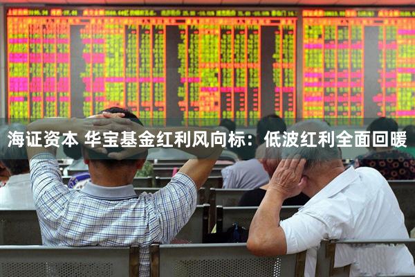 海证资本 华宝基金红利风向标：低波红利全面回暖